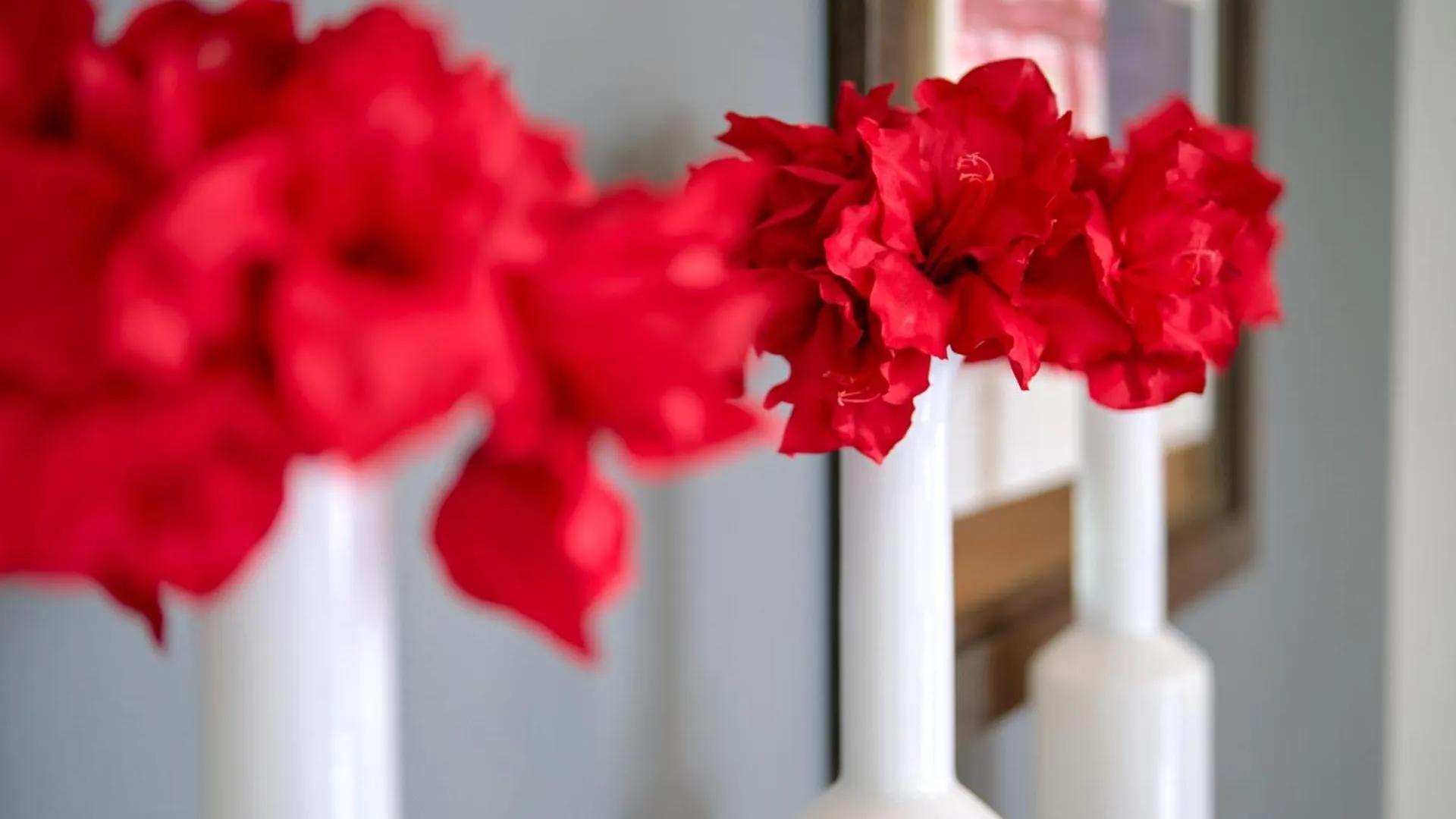 Hotel Herbert Park Hotel&Park Residence Dublin