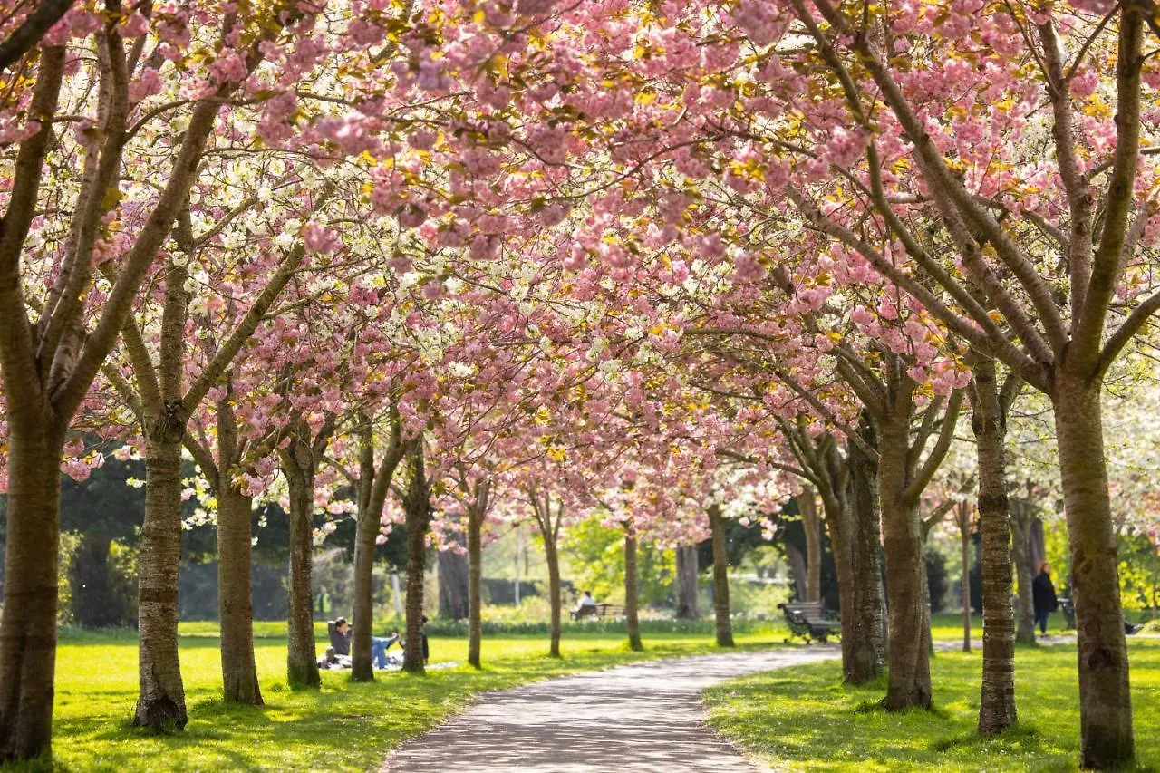 Herbert Park Hotel And Park Residence Dublin Irland